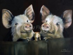 Happy Pigs
