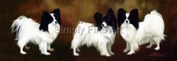 Three Papillons