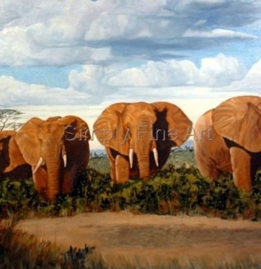 Wildlife Prints