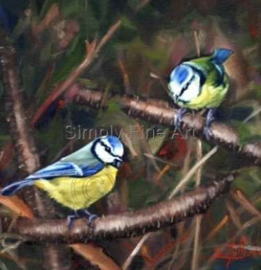 Bird Prints