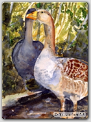 Geese