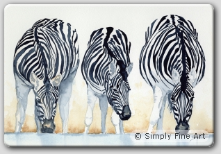 3 Zebra Drinking