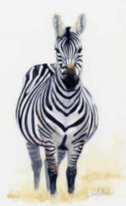Zebra - Lady In Waiting