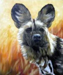 African Wild (Painted) Dog - Headstudy