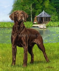 German Shorthaired Pointer