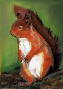 Squirrel - Red