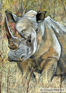 Rhinoceros - Confrontation
