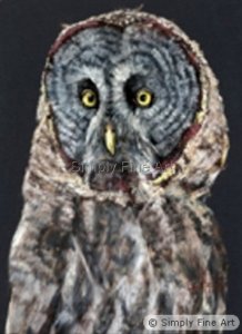 Owl - Great Grey