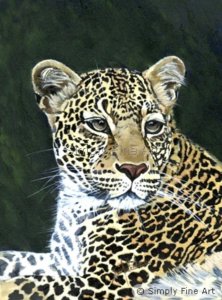 Leopard Headstudy
