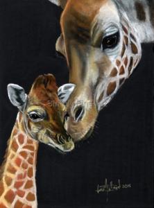 Giraffe - Tender Moments