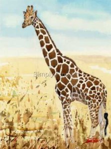 Giraffe - Blue Sky 07