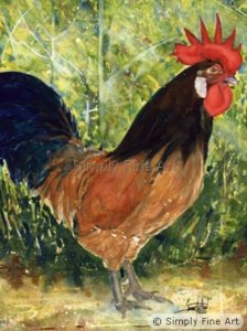 Cockerel - The Redhead