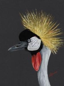 Crane Headstudy