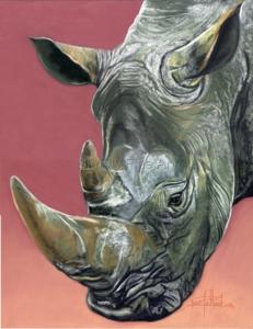 Rhinoceros Headstudy