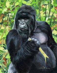 Mountain Gorilla Silverback