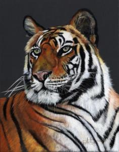Tiger Head 2