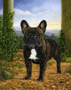 French Bulldog - Champion Brindle Bitch in Woods