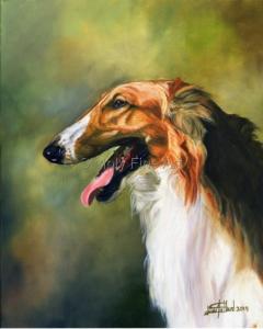 Borzoi Head-study