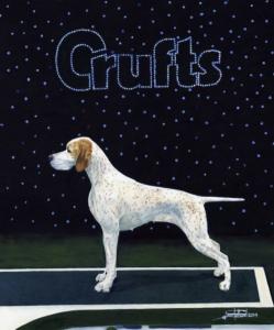 Pointer Bitch Reserve Best In Show Crufts 2018