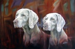 Weimaraners