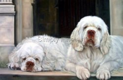 Spaniels - Clumber