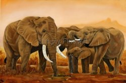 Elephants at waterhole