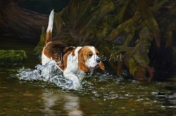 Beagle exploring stream