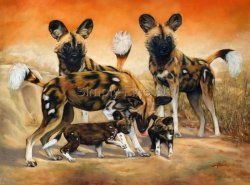 African Wild Dog family group