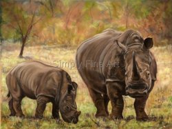 Rhinoceros and baby