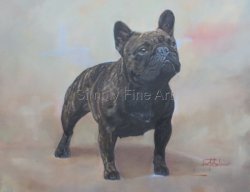 French Bulldog Dark Brindle