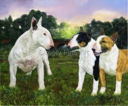 Bull Terrier and Two Miniature Bull Terriers