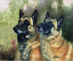 Belgian Shepherd Dogs - Malinois