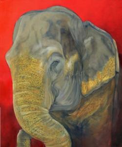 Elephant - Asian Headstudy
