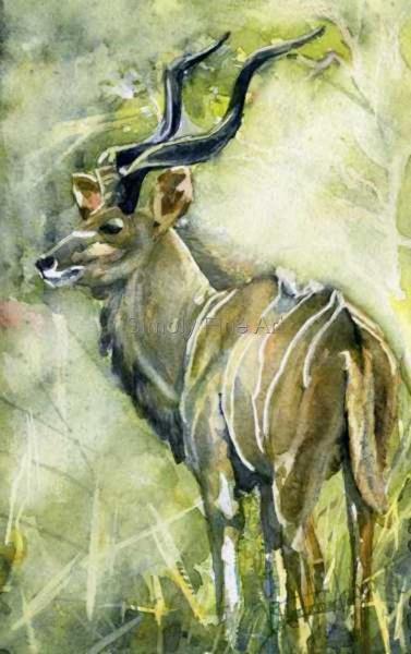 Kudu - Camouflage