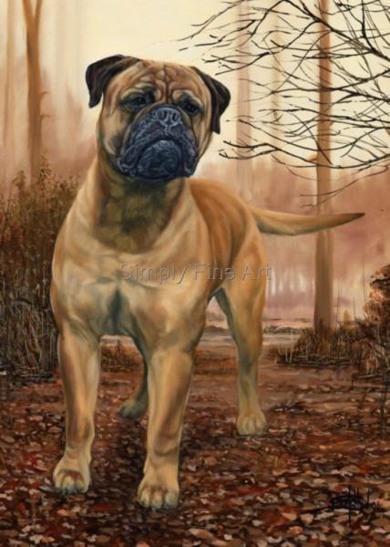 Bullmastiff - Champion Male in woodland