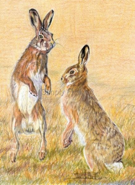 Mad March Hares 
