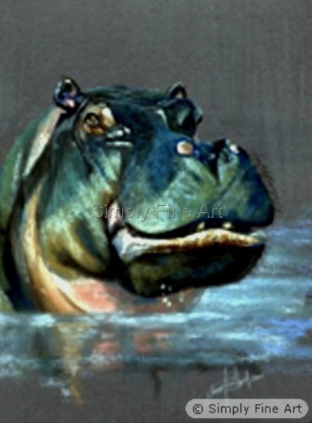 Hippo - Smiler