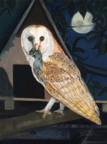Owl - Barn with mouse