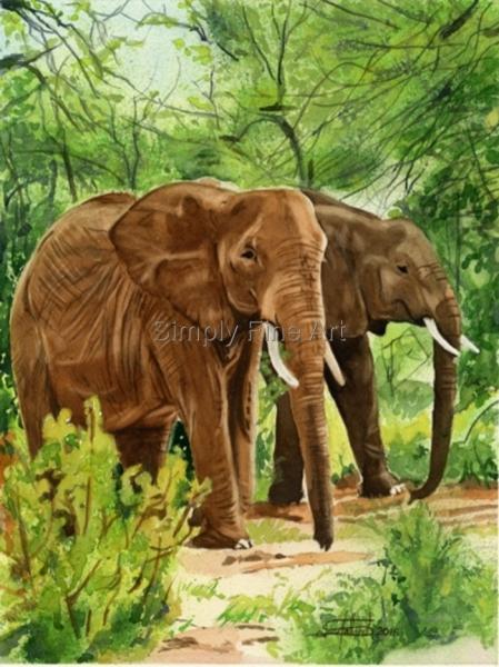 Elephants in the forest