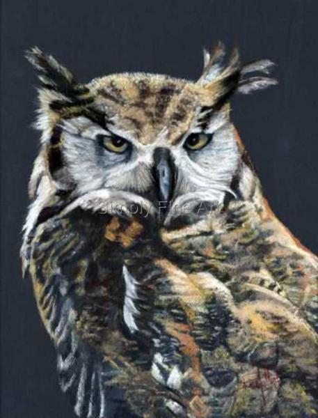 Owl - Great Horned