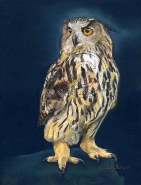 Owl - Eagle at night