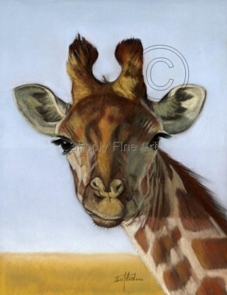 Giraffe Head - Blue Sky 10