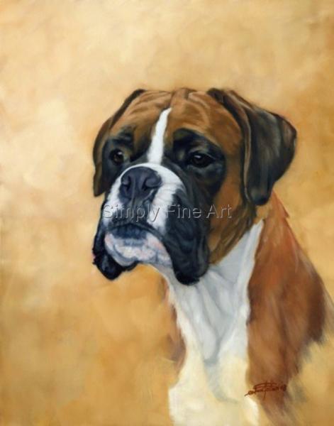 Boxer - Red & White Headstudy