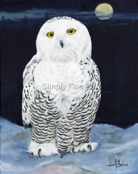 Snowy Owl