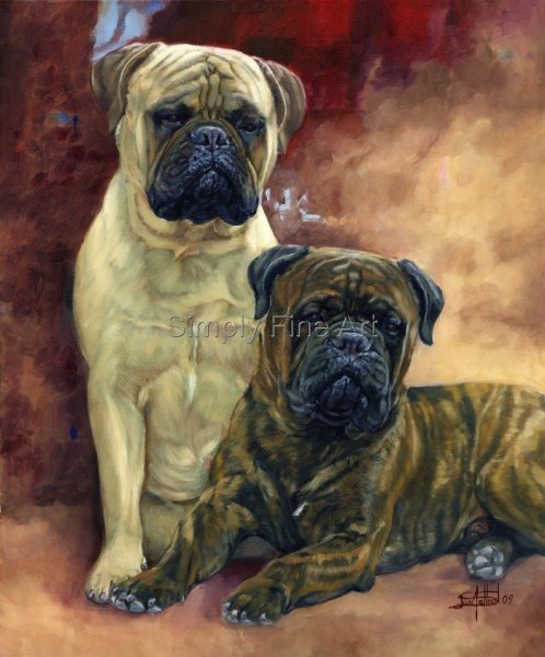 Bullmastiffs - Fawn & Brindle Champion Males