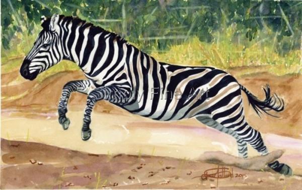 Leaping Zebra