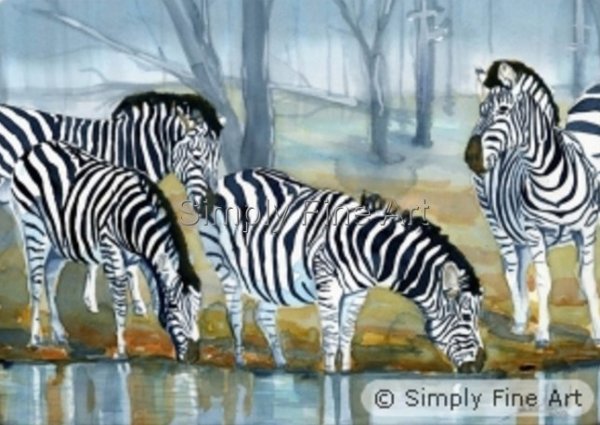 Zebras - Misty Morn
