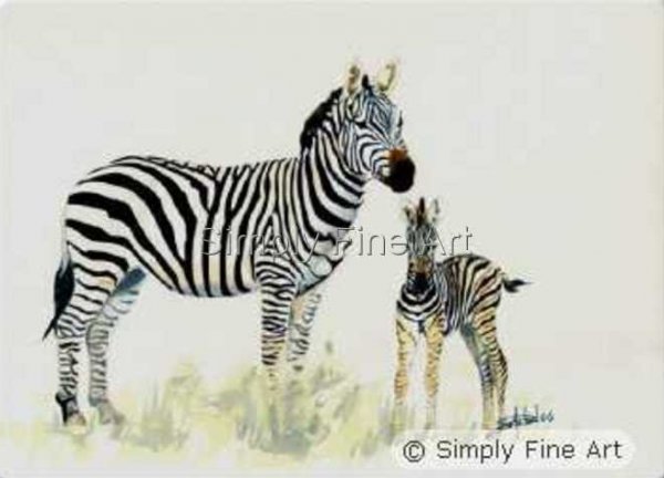 Zebra + baby in front 06