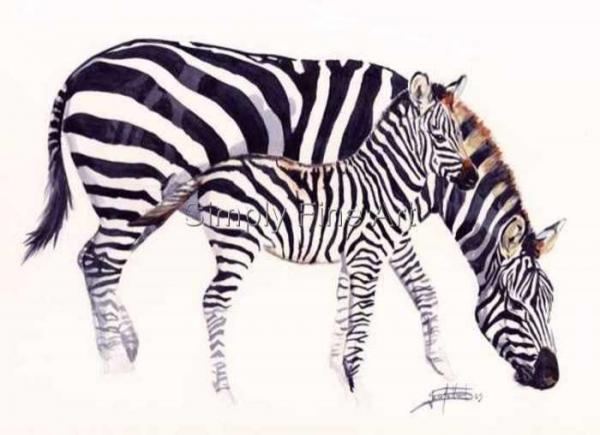 Zebra and baby landscape shape