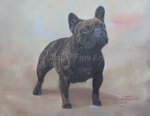 Dark Brindle French Bulldog female